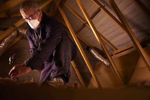Best Insulation Maintenance and Repair in Bennettsville, SC
